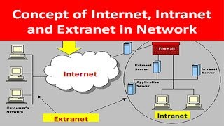 What is Internet INTRANET and ExtraNET in Network [upl. by Aggi]