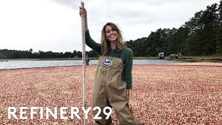 I Worked As A Cranberry Farmer For A Day  Lucie For Hire  Refinery29 [upl. by Abernon]