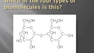 How to identify biomolecules structurally [upl. by Krm614]