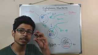 Mitochondria  NSF Chalk Talk [upl. by Ariuqahs944]