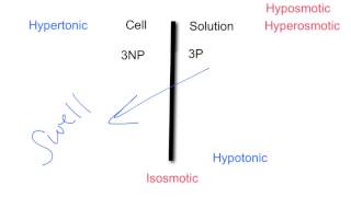 Tonicity amp Osmolarity [upl. by Ykcul]