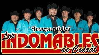 LOS INDOMABLES DE CEDRAL MIX [upl. by Ecaj]