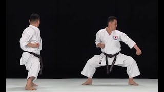 Gekisai Dai Ichi Kata Instructional [upl. by Sprague73]