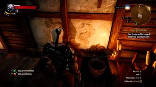 Where To Find The Feline Silver Sword  Enhanced The Witcher 3 [upl. by Silrac]