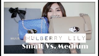 Mulberry Lily Size Comparison Small Vs Medium minimalistStyling [upl. by Sabra586]