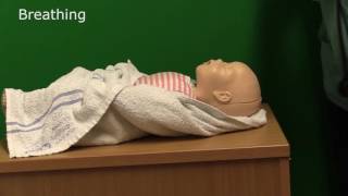 Neonatal Resuscitation  Demonstration [upl. by Cita]