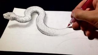 Drawing Anamorphic Snake  Optical Illusion [upl. by Ajit485]