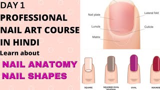 PROFESSIONAL NAIL CLASS DAY 1 Complete Online Free Nail CourseNAIL ANATOMY amp NAIL SHAPES Pratibha [upl. by Awjan512]