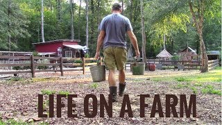 Life On A Farm  Morning amp Evening Chores  Our Daily Homestead Routine [upl. by Amalbergas]