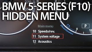 How to enter hidden menu in BMW F10 F11 F07 5series service test mode instrument cluster [upl. by Arahsak]