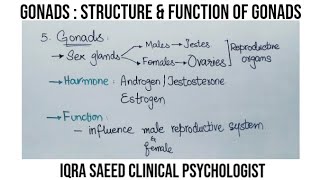 Gonads  What are Gonads Structure and function  Urdu amp Hindi  Iqra Saeed Clinical Psychologist [upl. by Eibocaj461]