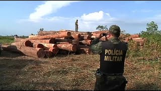 La déforestation de la forêt amazonienne atteint des records [upl. by Alyaj528]