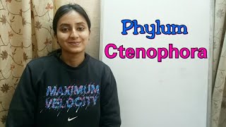 Phylum Ctenophora  Biological classification part 13  Class XI  Lecture 41 [upl. by Erbe]