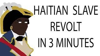 Haitian Slave Revolt  3 Minute History [upl. by Nawoj545]