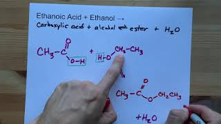 Ethanoic Acid  Ethanol   Ester Reaction [upl. by Janiuszck]