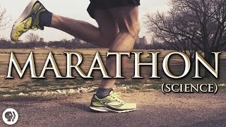 The Science of Marathon Running [upl. by Zea]