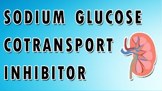 Sodium Glucose Cotransporter Inhibitors [upl. by Aciretehs]