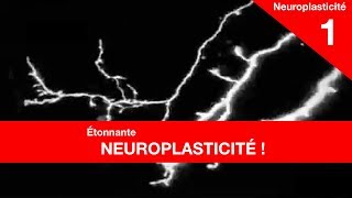 Questce que la neuroplasticité [upl. by Odlaniger825]