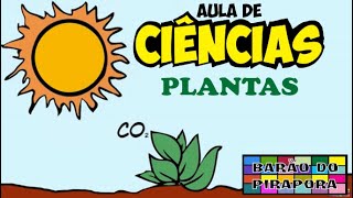 Aula de Ciências Plantas [upl. by Gowrie944]