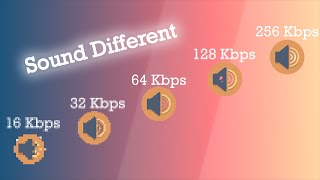 16 vs 32 vs 64 vs 128 vs 256 KBPS MUSIC COMPARISON  SOUND QUALITY DIFFERENCE BETWEEN 2024 [upl. by Adyam]