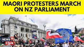 Maori Bill Protest Massive Crowds March At New Zealand Parliament In Wellington  N18G  News18 [upl. by Auohs]