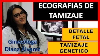 ECOGRAFIA DE TAMIZAJE GENETICO Y DETALLE FETAL POR GINECOLOGA DIANA ALVAREZ [upl. by Notlih]