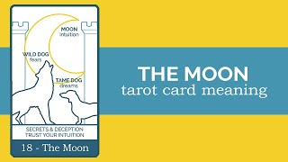 The Moon Tarot Card Reading and Meaning [upl. by Amikahs794]