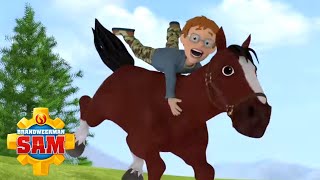 Brandweerman Sam  Wilde Paarden Rennen  Nieuwe Afleveringen  Kinderfilms [upl. by Dera395]