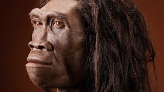 Homo erectus  The Upright Man [upl. by Lotz673]