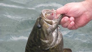 How To Rig Grubs  Bass Fishing [upl. by Anoo]