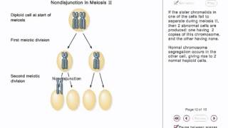 Chromosome Nondisjunction Animation [upl. by Gnirol]