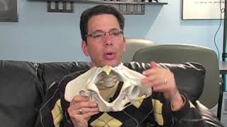 Hip Bursitis Exercises for Seniors [upl. by Anurb587]