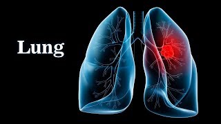 Pulmonary Ventilation System Respiratory [upl. by Nnylylloh]