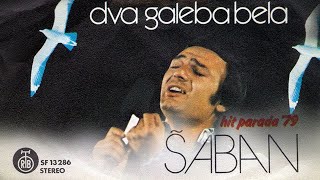 Saban Saulic  Stari kocijas  Audio 1979 [upl. by Anailil]