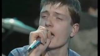 Transmission  Joy Division Something Else 1979 [upl. by Enilesor969]