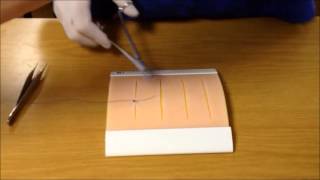 Basic Suturing Techniques [upl. by Ellehcem]