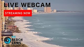 Live Webcam Panama City Beach Florida [upl. by Kcirredal]