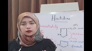 Protein Metabolism Session 14 Histidine Amino Acid Metabolism [upl. by Ahtabbat702]