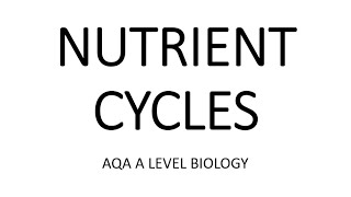 NUTRIENT CYCLES  AQA A LEVEL BIOLOGY  EXAM QUESTIONS RUN THROUGH [upl. by Ordnassela]