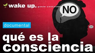 Explicación científica de la Consciencia [upl. by Bobseine]