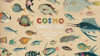 Cosmo Sheldrake  Birthday Suit [upl. by Caughey]