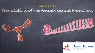 sexual cycle 1 Ovarian and uterine cycles [upl. by Annoyt406]