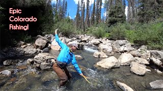 The TOP 10 fishing spots in Colorado  McFly Angler Fly Fishing [upl. by Hasina953]