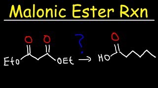 Malonic Ester Synthesis Reaction Mechanism [upl. by Rese773]