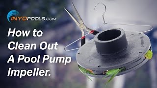 How To Clean Out A Pool Pump Impeller [upl. by Gardas]