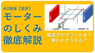 中2磁界【モーターの仕組みとは？】 [upl. by Akimahc]