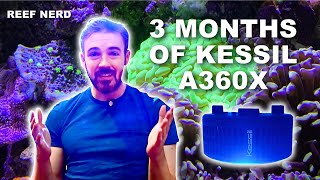 Switching to Kessil  3 Month Review of the A360X [upl. by Bathilda]