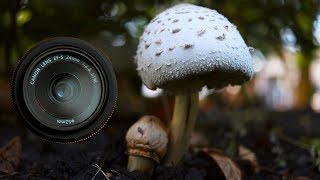 Canon EFS 24mm STM Review [upl. by Anekam926]