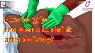 How long does it take for uterus to go back to normal after delivery DrHimani Sharma of Cloudnine [upl. by Hafeenah806]