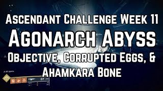 Destiny 2  Ascendant Challenge Week 11 Agonarch Abyss Objective Corrputed Eggs amp Ahamkara Bone [upl. by Dine]